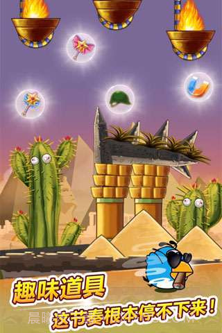 呆鸟也疯狂截图4 呆鸟也疯狂截图4