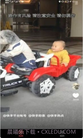 宠物趣看截图3 宠物趣看截图3