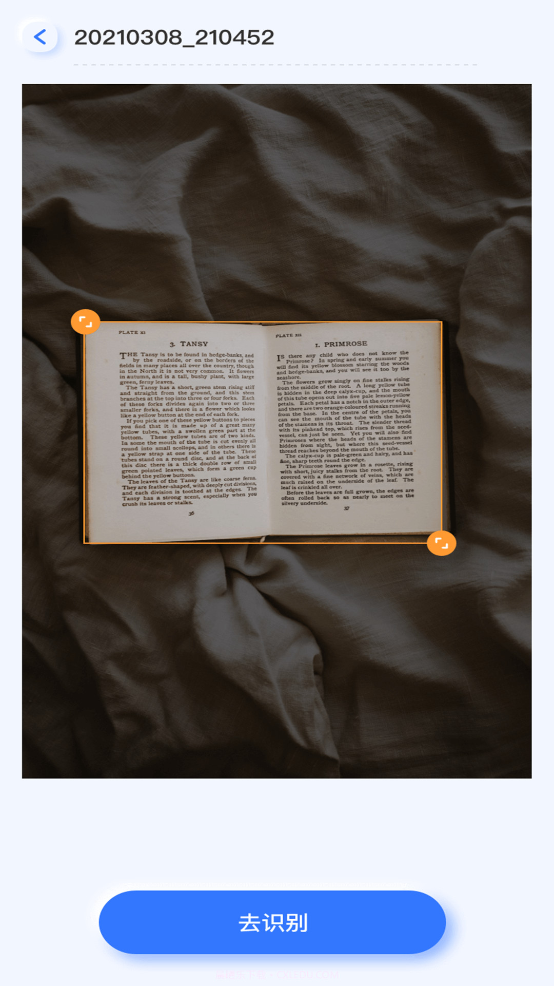 提取图中文字截图2 提取图中文字截图2