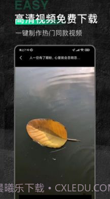 口袋今日素材截图2