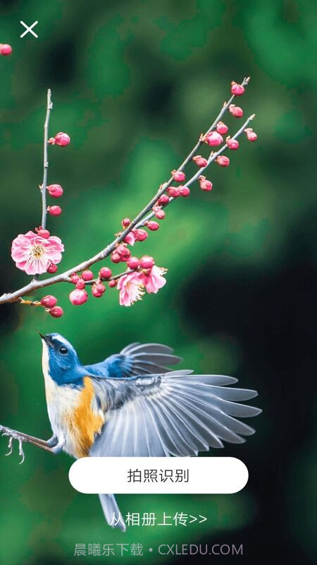 识物通截图3