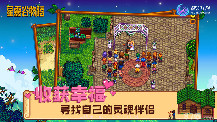 Stardew Valley截图3