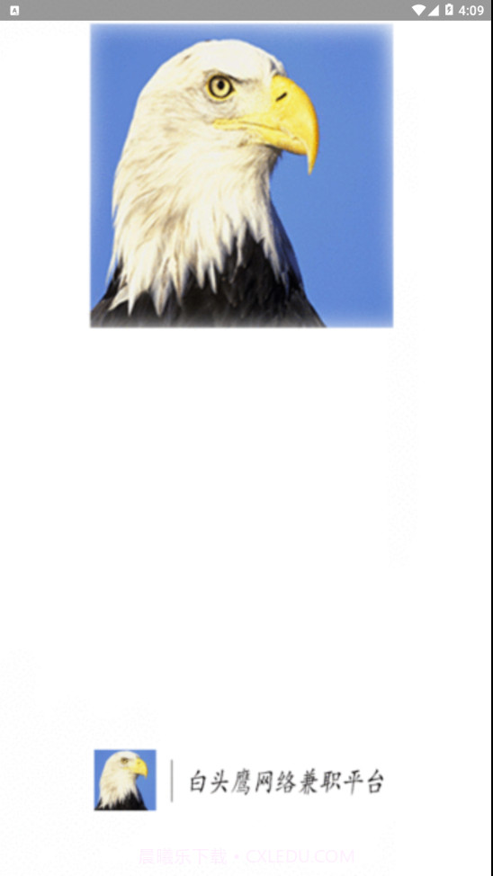 白头鹰网络兼职截图1