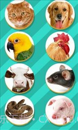 仓鼠语言翻译器（Pet Translator）截图3