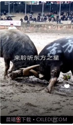 宠物趣看截图1 宠物趣看截图1