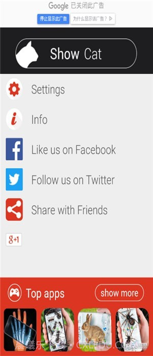 猫咪桌宠截图2 猫咪桌宠截图2