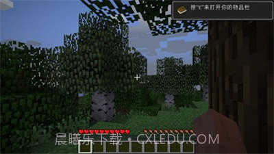 我的世界1.17.30.21种子截图4