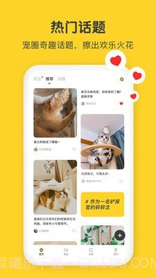 尖叫猫截图2 尖叫猫截图2