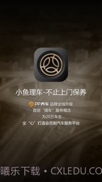 PP车截图1