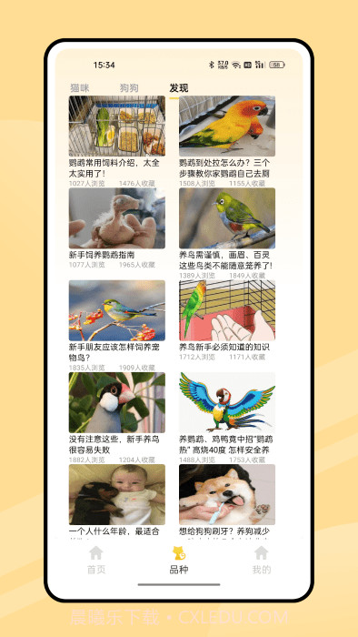 弛意有宠截图3 弛意有宠截图3