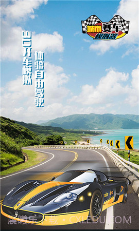 城市赛车模拟器截图5