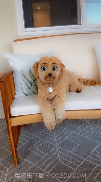 迪士尼滤镜截图2 迪士尼滤镜截图2