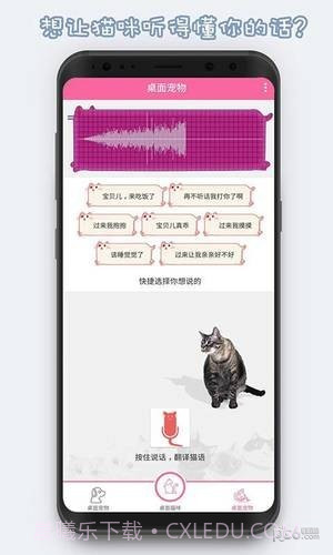 激萌猫咪桌面宠物截图3 激萌猫咪桌面宠物截图3
