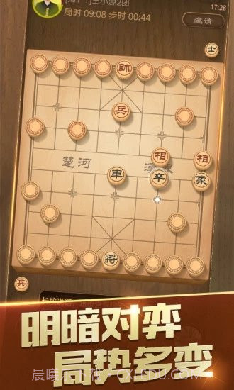 随心象棋助手手机版截图2
