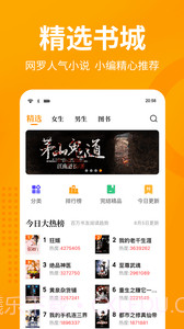 棚阅小说截图3