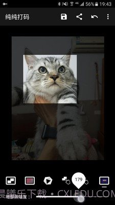 纯纯打码截图3 纯纯打码截图3