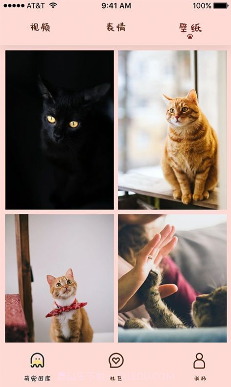 喵喵撸猫截图3