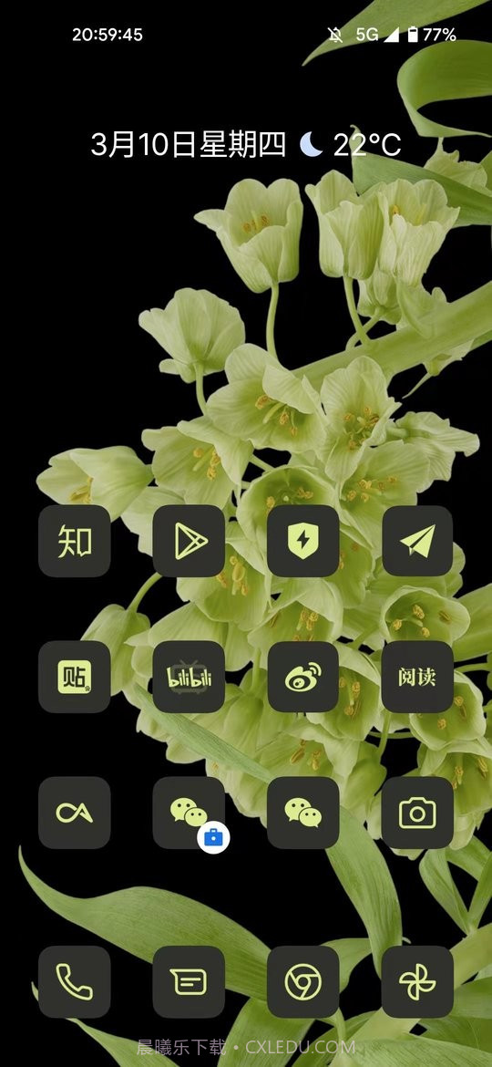 cayicons图标包截图4