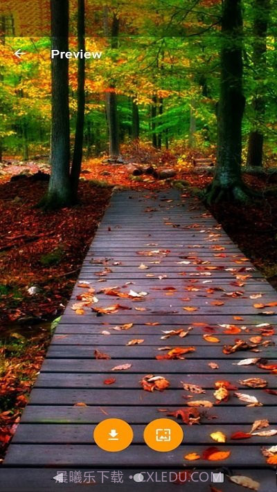 全球主题和壁纸截图4 全球主题和壁纸截图4