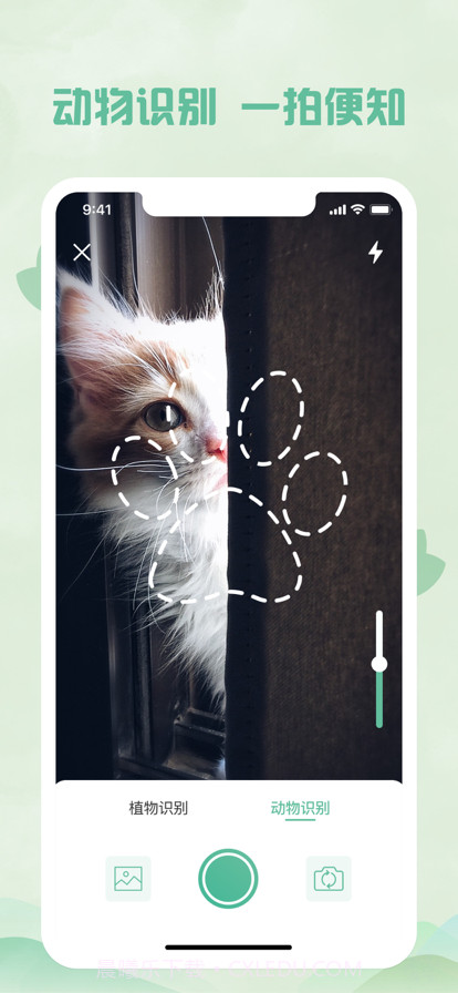 拍照识物:植物识别&拍照识花截图2