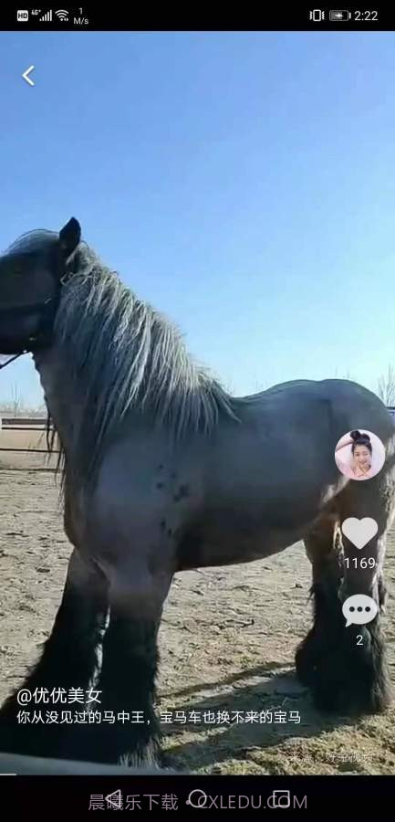 红小狗视频截图2 红小狗视频截图2