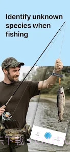 Picture Fish鱼类识别截图3