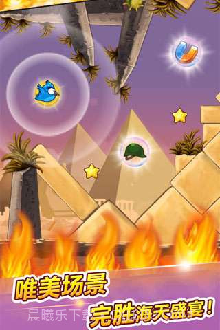 呆鸟也疯狂截图3 呆鸟也疯狂截图3