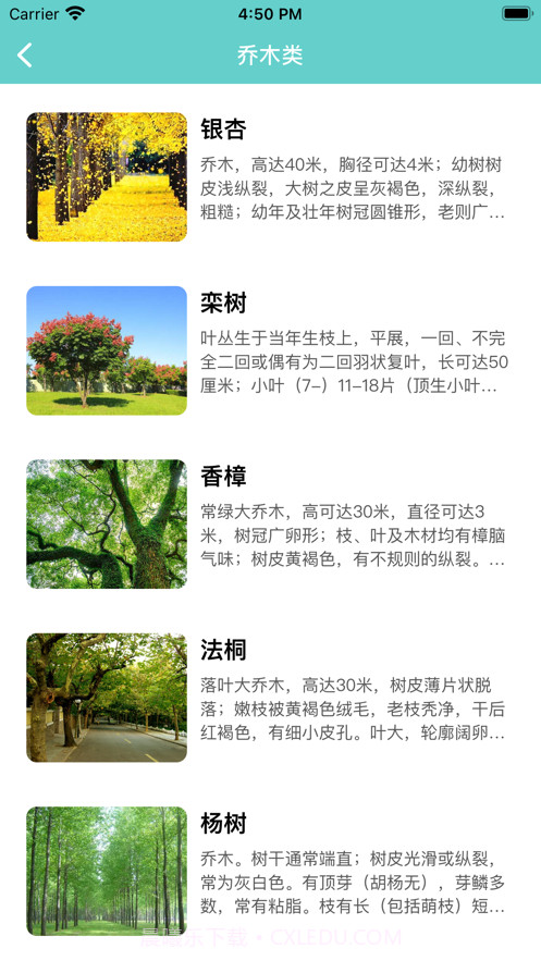 知树截图2 知树截图2