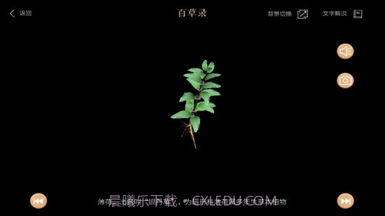 百草录截图3 百草录截图3