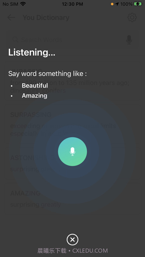 YouDictionary截图4