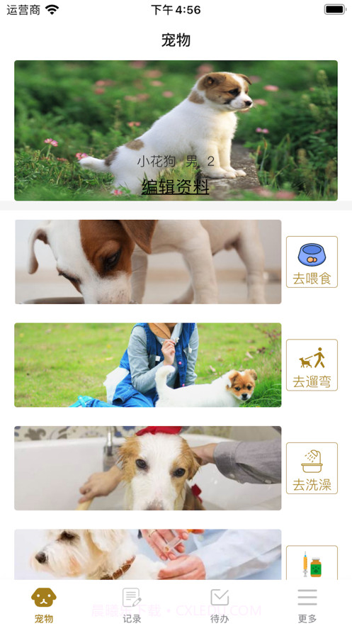 养狗小帮手截图2 养狗小帮手截图2