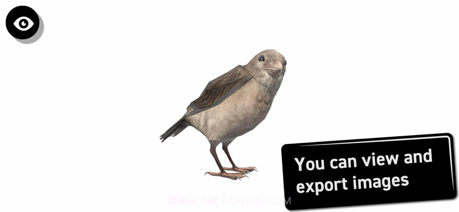 鸟类3D参考截图4