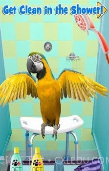 新生宠物兽医截图1