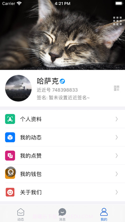近近截图3