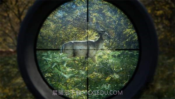 猎人荒野的召唤截图1 猎人荒野的召唤截图1