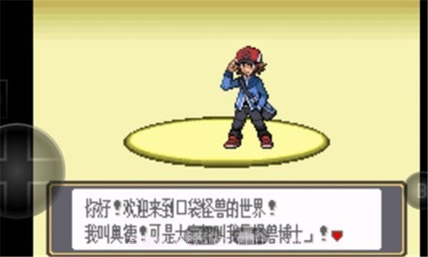 口袋妖怪黑白截图1