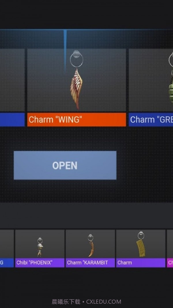 CS饰品开箱模拟截图4