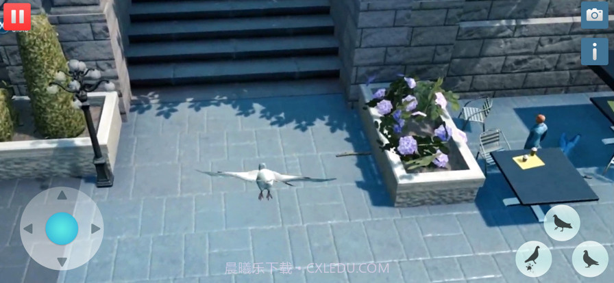 饥饿的鸽子模拟器截图5 饥饿的鸽子模拟器截图5