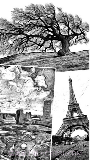 ToonCamera卡通相机截图2 ToonCamera卡通相机截图2