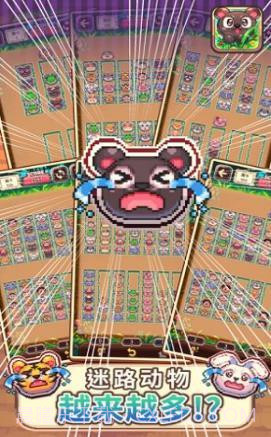 动物大风吹截图3 动物大风吹截图3