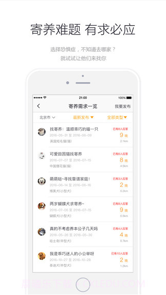 小狗在家-宠物寄养截图5