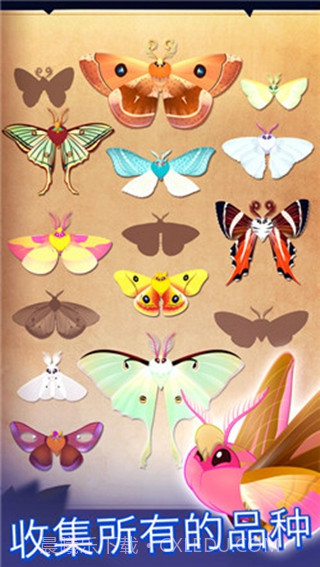 彩翼之星夜截图3 彩翼之星夜截图3