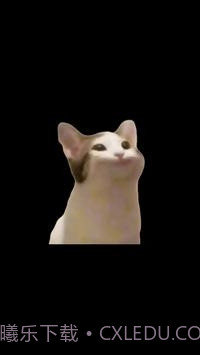 PopCat截图4 PopCat截图4