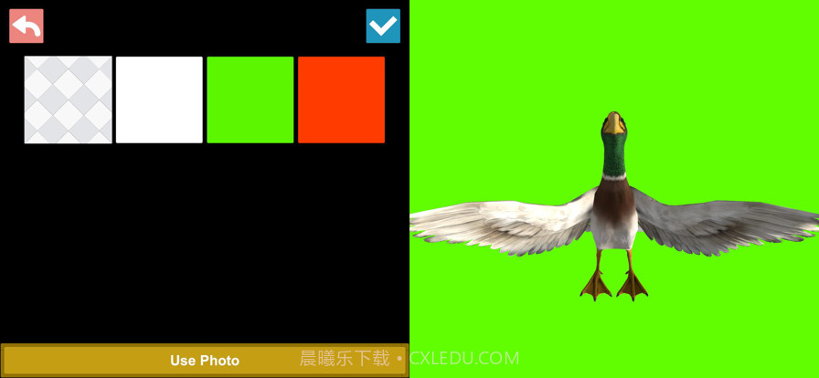 鸟类3D参考截图5