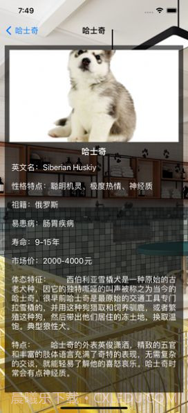 佳友宠截图2 佳友宠截图2