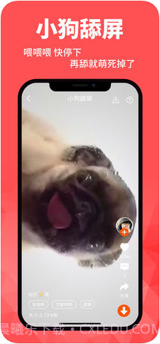 壁纸菌截图1 壁纸菌截图1