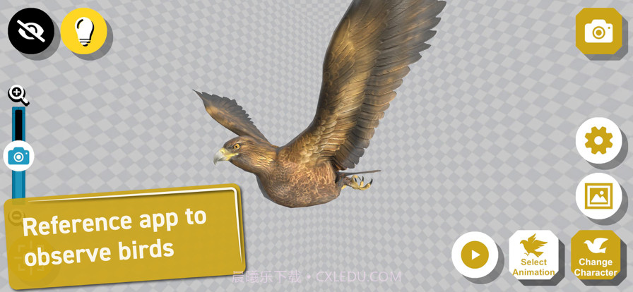 鸟类3D参考截图1