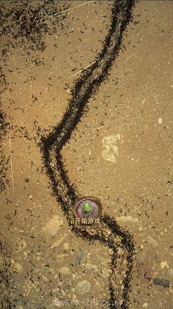 地下蚁国蚁族崛起截图3