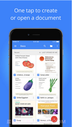 Google文档截图1 Google文档截图1