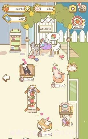 猫咪spa截图3 猫咪spa截图3